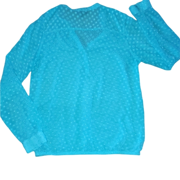The Limited Long Sleeve Sheer Blouse w/ Button Wrist - Blue 552 - Picture 2 of 6